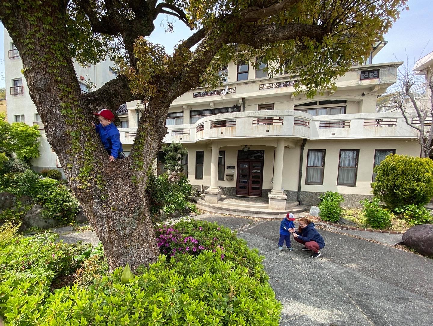 F2192FCB-D7CD-48F1-9377-01694383EDF4